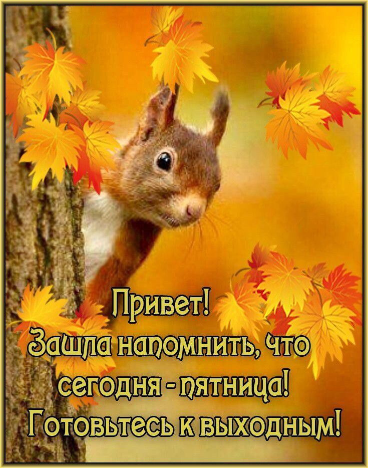 отбвьтесьшвыходным