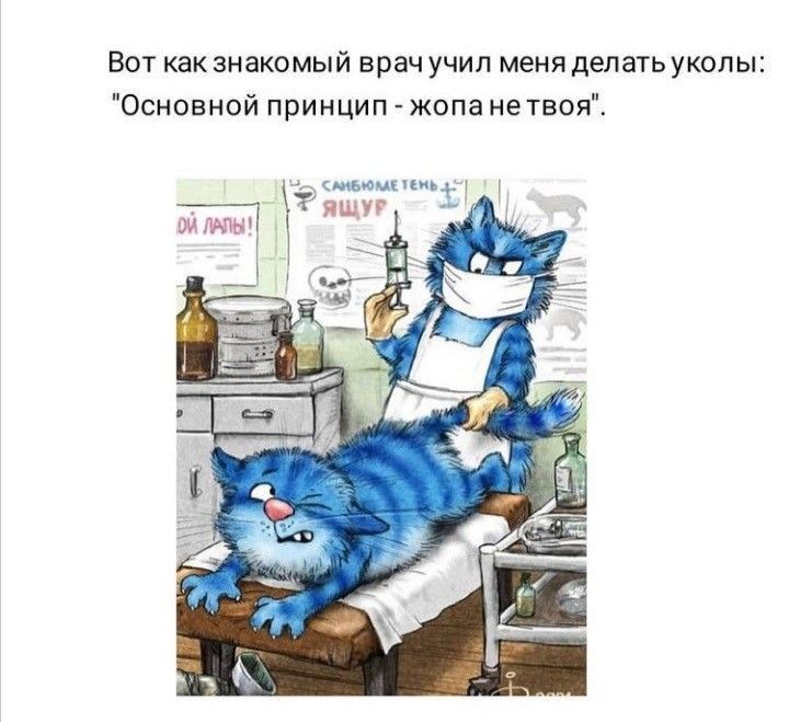 Вот как знакомый врач учип меня депатьукопы Осноаной принцип жопа етвоя __ и МАМЫ