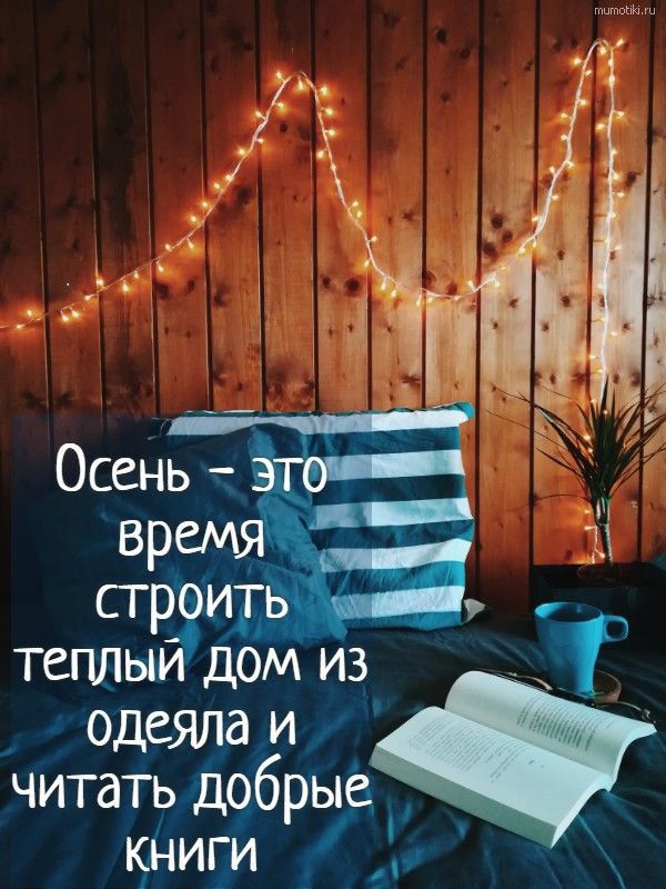 теплы дом из т одеялаб и читать 4196 рые _ книги в