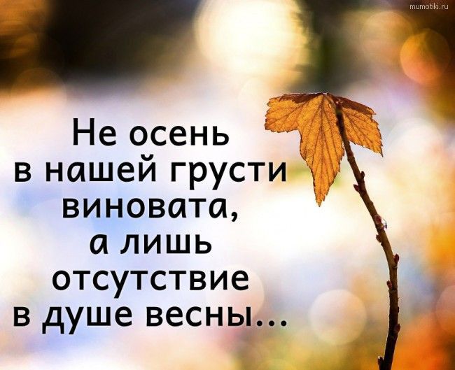Не осень _ в нашей грусти виновата а лишь отсутствие в душе весны