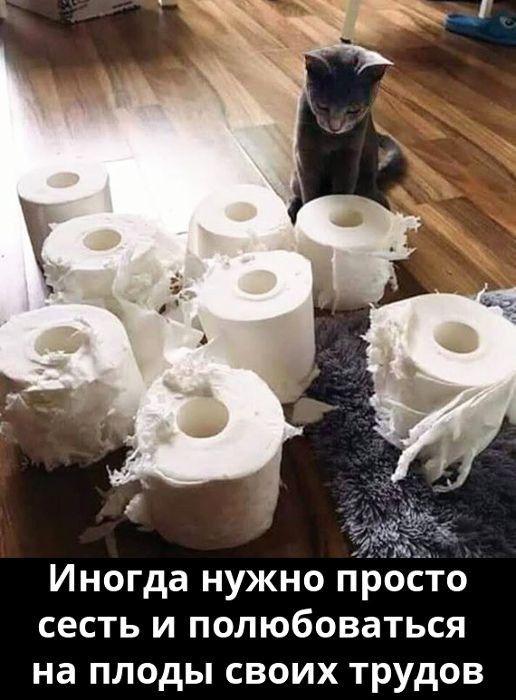 Иногда нужно тросто сесть и полюбоваться на плоды своих трудов