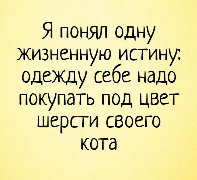 Я понял одну жизненную истину одежду себе надо покупать под цвет шерсти своего кота