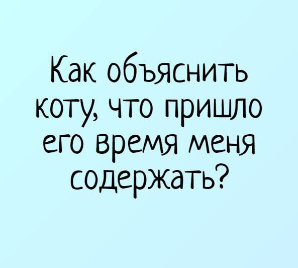 Как объяснить коту что пришло его время меня содержать