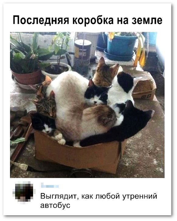 ПОСПЕДНЯЯКОРОбКЗНдЗЕМПЗ іі т Выглядит как любой утренний автобус