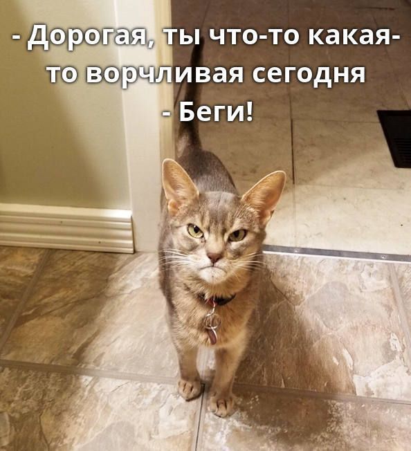 ты что то какая ивая сегодня