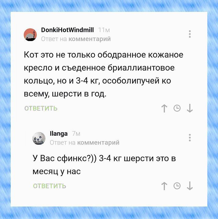 и кпмменприи Кот это не только ободрннное кожаное кресло и съеденное бриеппиантовое кольцо но и 34 кг особопипучей ко всему шерсти в год ответить Т 5 1 в мм и коммвктарий У Вас сфинкс 3 4 кг шерсти это в месяц у нас стгЕтить т