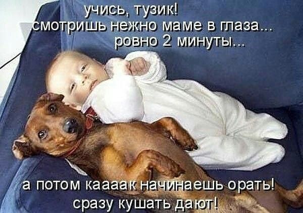 уч сь тузик мотриШъ жно маме в глаза рЁт ю 2 минуты потом казна аешь орать а сразу кушать даш А