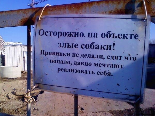 Осторожйо на объекте злые собаки _ Прививки не делали едят ч _попял0 дивно мёчта рент зонд с