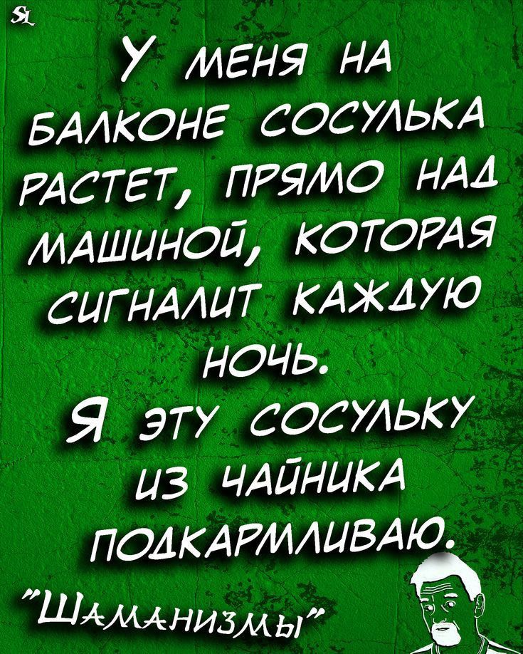 У меня НА БААКОНЕ сесть РАСТЕТ прямо НАА МАШМОЛ КОТОРАЯ СЦГНААЦТ КАЖАУО ночь Я ЭТУ состку из ЧАЛНЦКА ПОАКАРИАЦВАО ШАмлнизмы