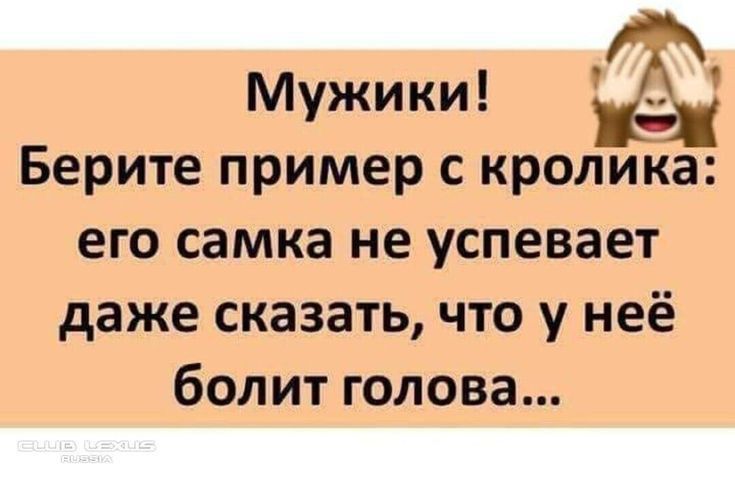 Мужики Берите пример кролика его самка не успевает даже сказать что у неё бол ит готова