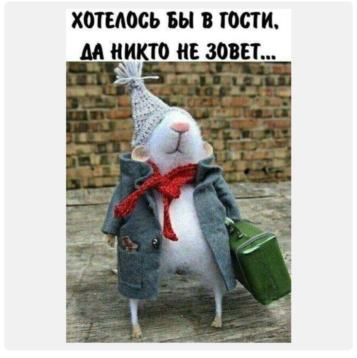 ХОТЕМСЬ БЫ В ЮСТ И М НИКТО НЕ ЗОВЕТ