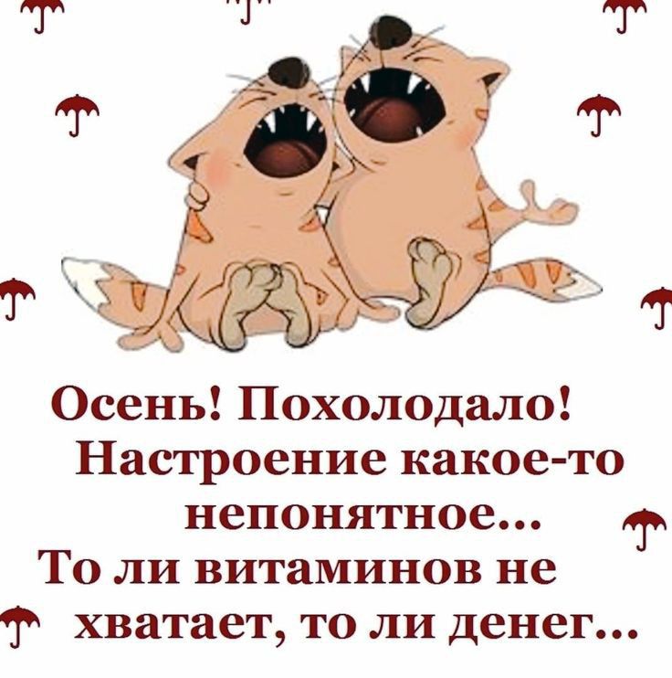 Осень Похолодало Настроение какое то непонятное То ли витаминов не хватает то ли денег