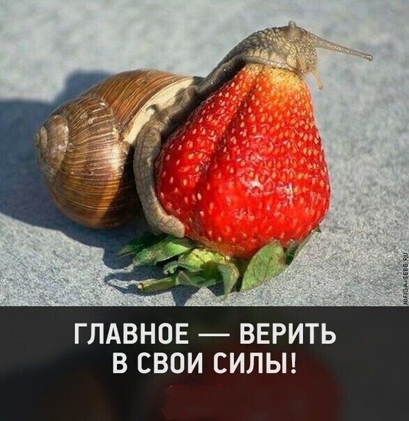 ГЛАВНОЕ ВЕРИТЬ В СВОИ СИЛЫ
