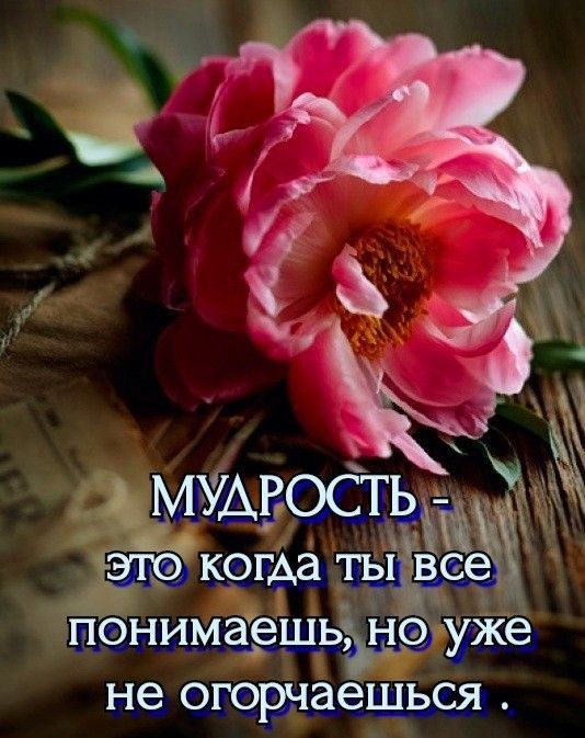 А мудростьі и когда тыддсеж ПФНИМЭЗЩЪЦ НУЖЗ не огорнаещься 1 67