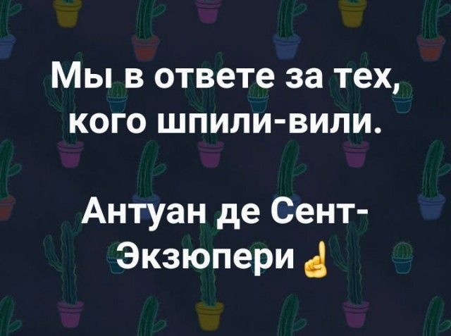 Мы В ответе за тех КОГО ШПИПИВИЛИ Антуан де Сент Экзюпери