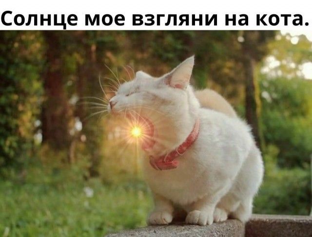 СОЛНЦЕ МОЕ ВЗГЛЯНИ на КО