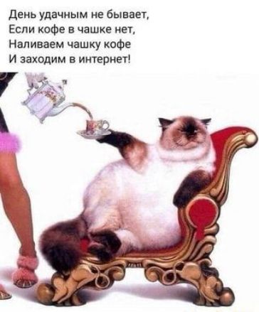 день удачным не бывает Если кофе в чашке пет Наливвем чашку кофе И заходим в империей