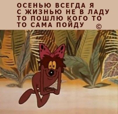 ОСЕНЬЮ ВСЕГДА В Я С ЖИЗНЬЮ НЕ ЛАДУ ТО ПОШЛЮ КОГО Т0 Т0 САМА ПОИДУ
