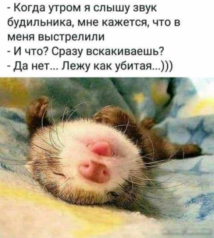 Когда утром я слышу звук будильника мне кажется что в МЕНЯ выстрелили И что Сразу вскакиваешь Да нет Лежу как убитая