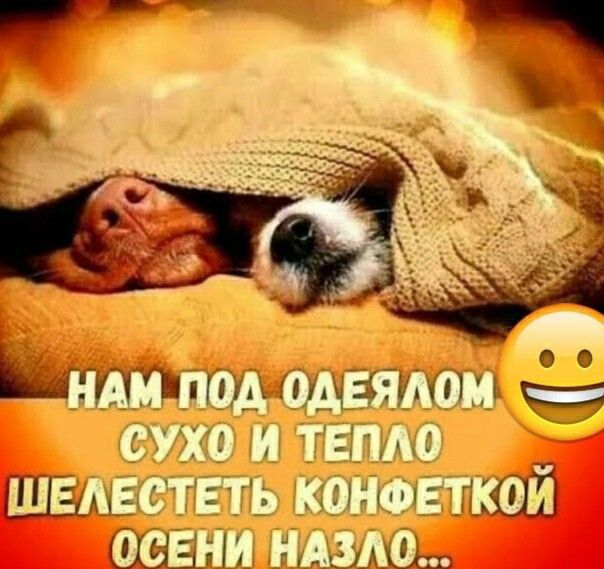 ШЮЧЕЩАЩ И у ч _