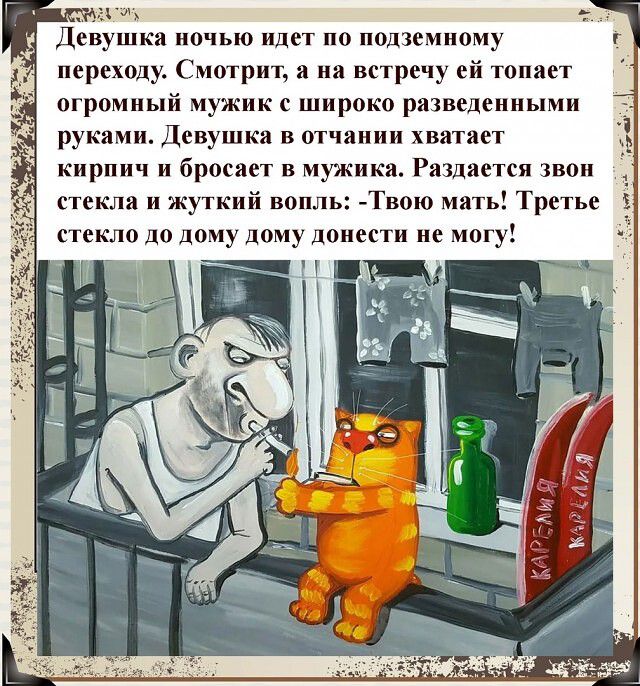 от Девушки ночью идет по иомиому переходу Смотрит я на встречу ей топиет огромный иужик широко рпзвсдеииь руками Девушки в отчииии хватает кирпич и брисиет в мужика Рпщпспи шои стекло и жуткий вопль Твою мять Третье стекло до диму дому донести не могу 3