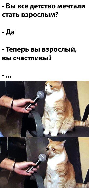 ВЫ все детство МЕЧТЗЛИ СТЗТЬ ВЗРОСЛЫМ да Теперь вы взрослый вы счастливы