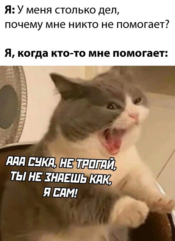 Я У меня столько дел почему мне никто не помогает Я когда КТО ТО МНЕ помогает ты нь нлЕшь Кпк я или