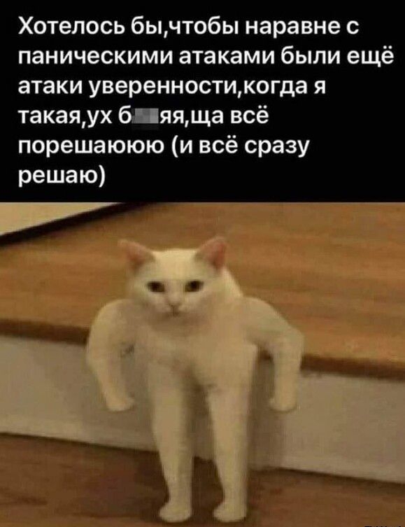 Хотелось бы тобы наравне паническими атаками были ещё атаки уверенностцкогда я такаяух 6 яяща всё порешаююю и всё сразу решаю