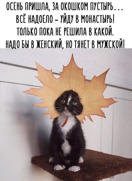 оокнь пкишлд зо окошком пкстыгь всі нолокоо _ 1 в моностыгы только поко но гошило в кокой нодо вы о конский но тонн в мужской к