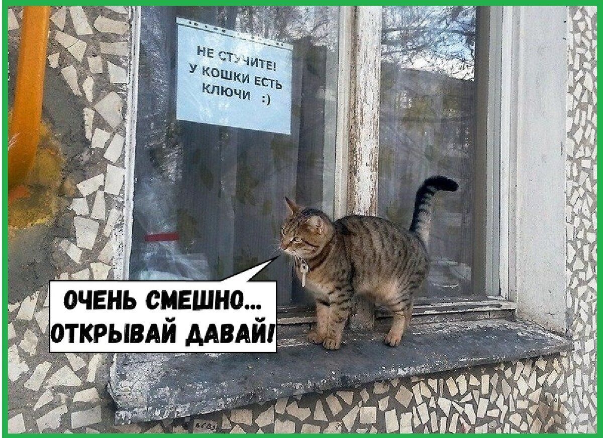 очЕиь смешно ткрыпй мый