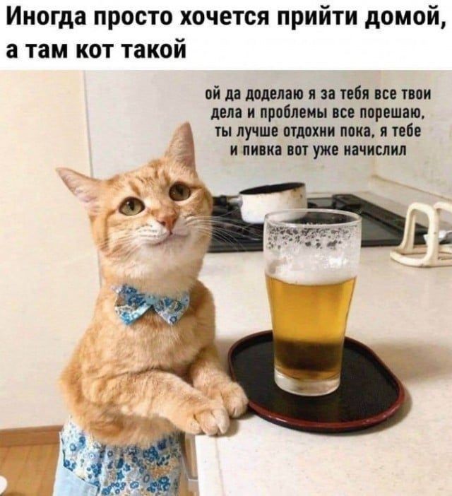 Иногда просто хочется прийти домой а там кот такой ий ш милан я и пол и пол ш и провизии ш параши ты лучш Ионии пни и ппц и лиш ш ую починил