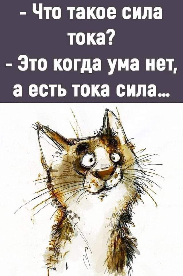Что такое сила тока Это когда ума нет а есть тока сила