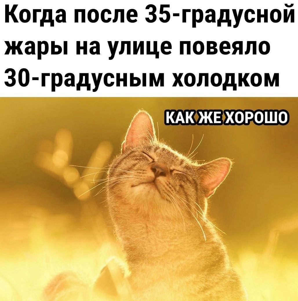Когда после 35 градусной жары на улице повеяло 30 градусным холодком КАКФЖЕХОРОШО