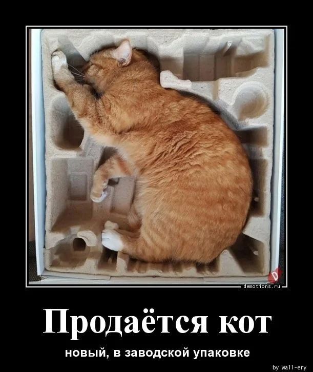 Продаётся кот новый заводской упаковке