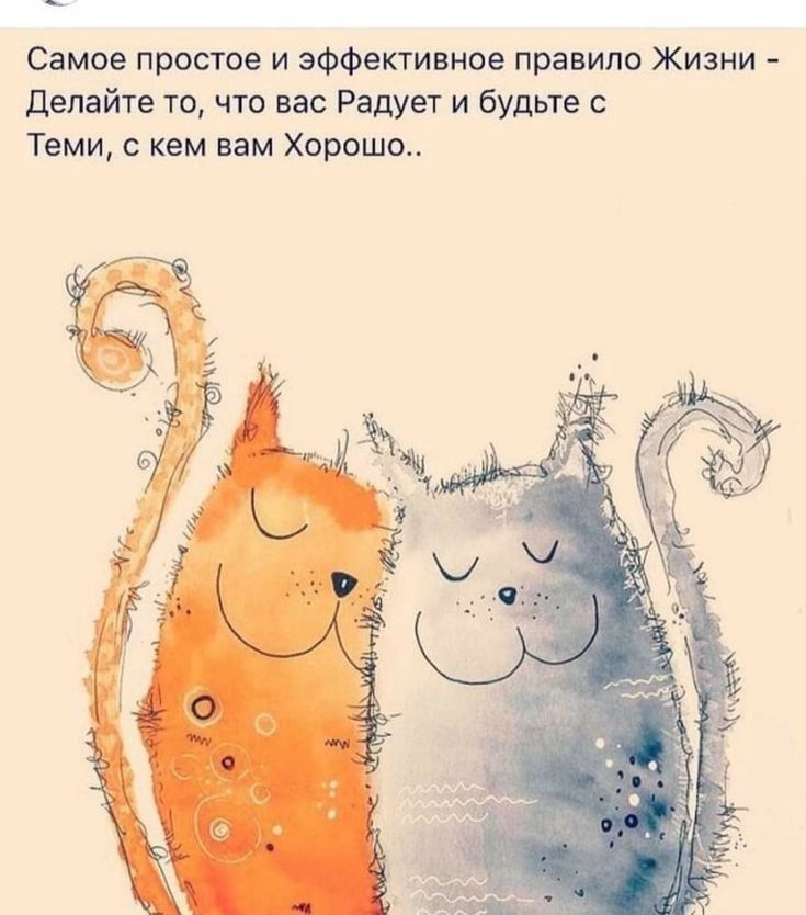 Самое простое и эффективное правило Жизни делайте 10 чт вас Радует и будьте Теми кем вам Хороша