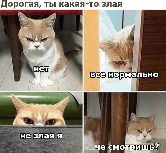 дорогая ТЫ какая то злая