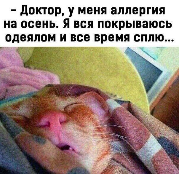 доктор У Меня аллергия на осень я вся покрываюсь одеялом и все время сплю