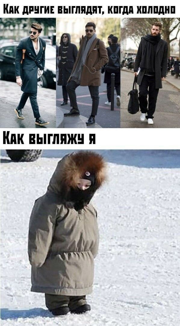 КПК дПЦГИЕ выглядят КПГдд ХШШШШ Кпк выгляжня _ _г