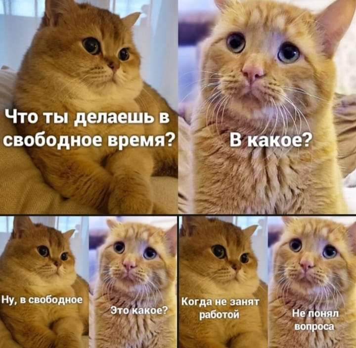 Что ты делаешь в свободное время