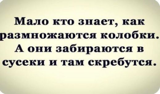 Мало кто знает как размножаются колобки А они забираются в сусеки и там скребутся