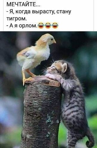 МЕЧТАЙТЕ Я когда вырасту стану тигром А я орломё іэнса