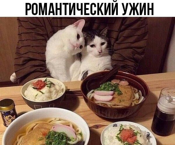 РОМАНТИЧЕСКИЙ УЖИН 4