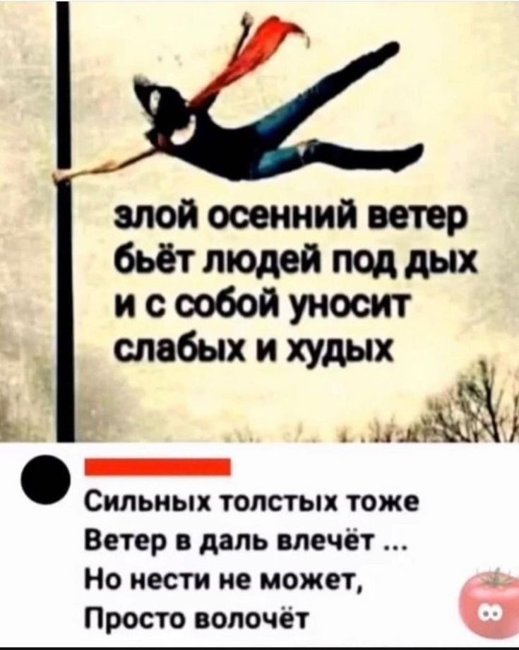алой осенний ветер бьёт людей под дых и с собой уносит слабых и худых д _ Сильных толстых тоже Ветер в даль влечёт Но мест не может Просто волочёт