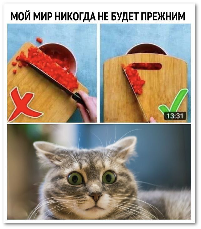 МОЙ МИР НИКОГДА НЕ БУДЕТ ПРЕЖНИМ