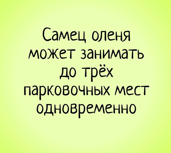 Самец оленя может занимать до трёх ПдРКОВОЧНЫХ мест одновременно