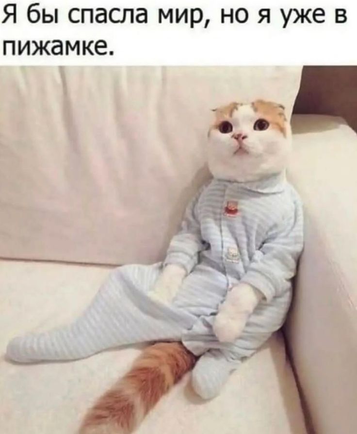 Я бы спаспа мир но я уже в пижамке