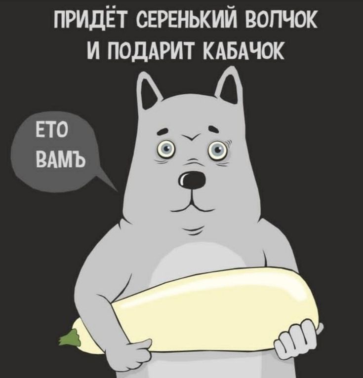 придёт СЕРЕНЬКИЙ волчок и поддрит КАБАЧОК