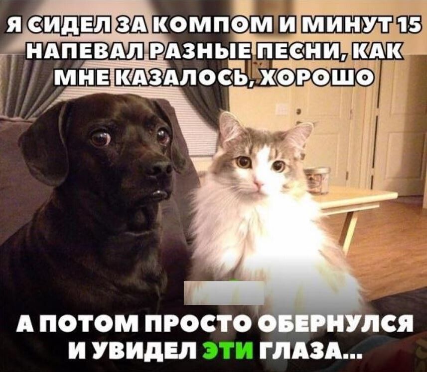 А ПОТФМ ПРОСТО И УВИДЕЛ ГЛАЗА