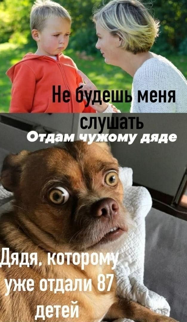 3 Отдам еиу дяде