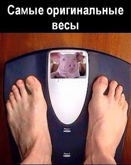 Самые оригинальные весы